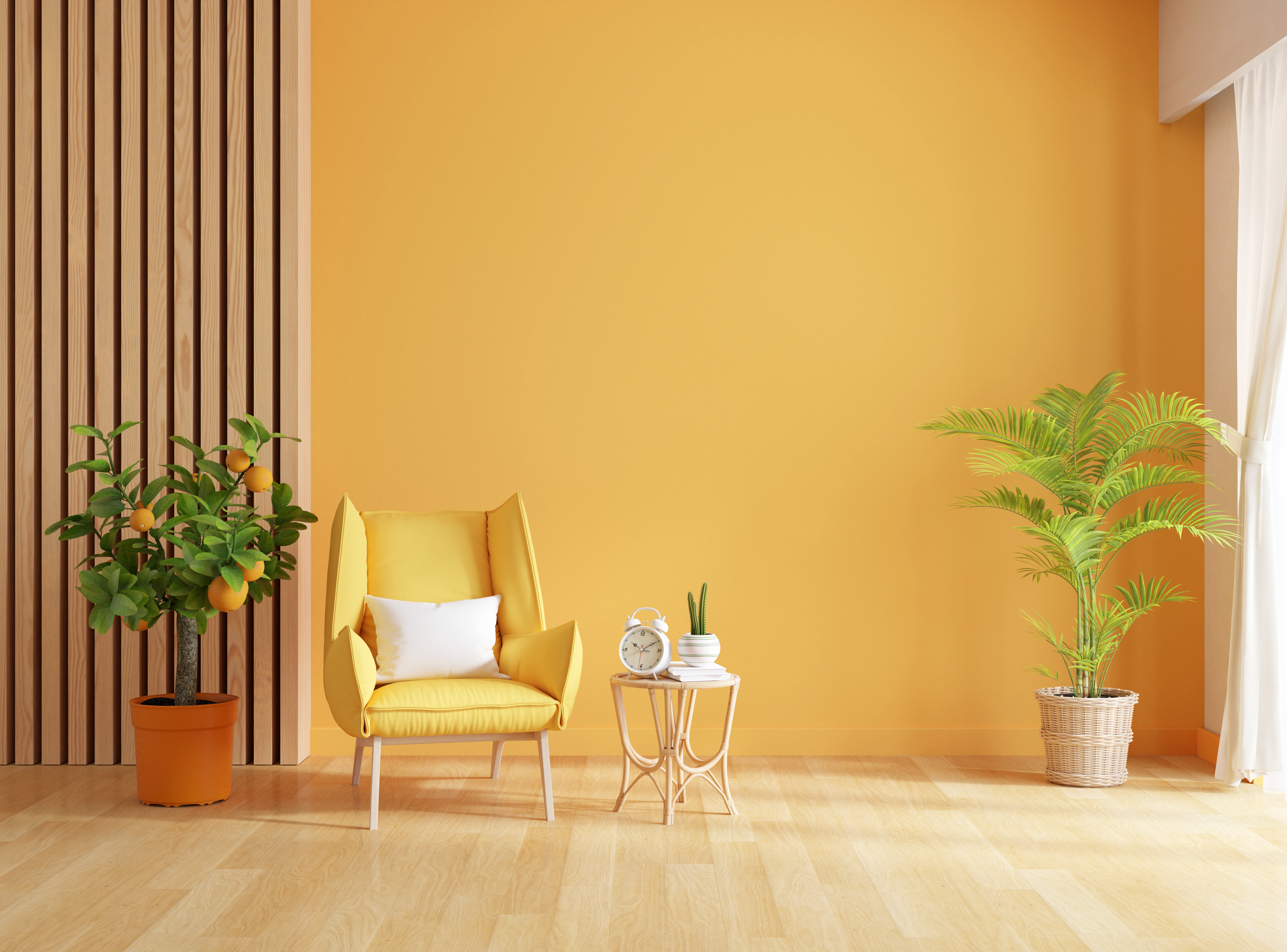 Plumbing and Electrical Coverage